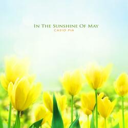 In The Sunshine Of May