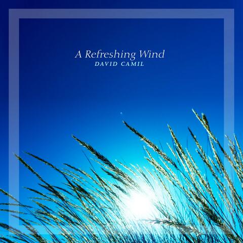 A Refreshing Wind