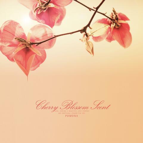 Cherry Blossom Scent