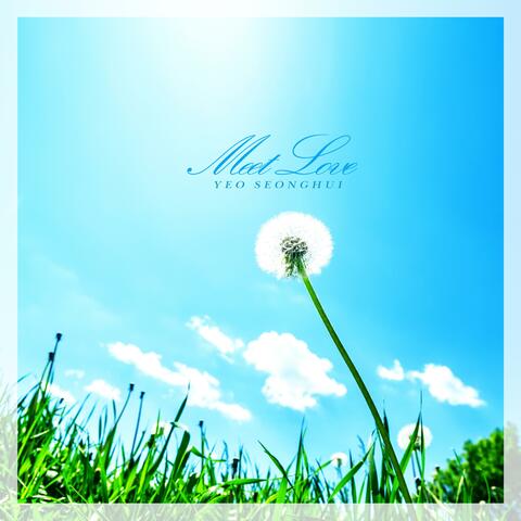Flower Wind
