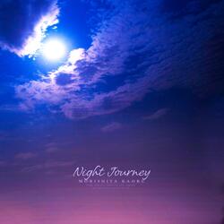 Night Journey