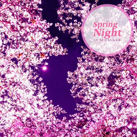 Spring Night