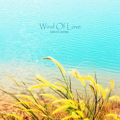 Wind Of Love