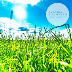 Wind Of March