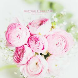 A beautiful memory trip