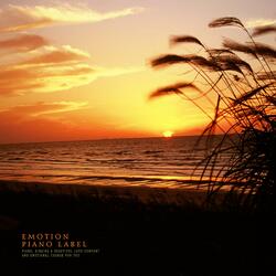 Take Comfort With You