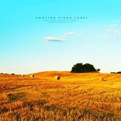 It Blows In The Wind.