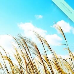 My Promise Only For You