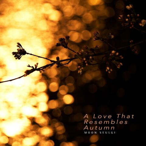 A Love That Resembles Autumn