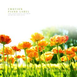 Sound of a bright morning