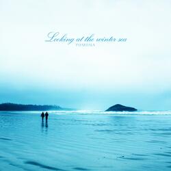 Looking At The Winter Sea