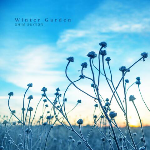 Winter Garden