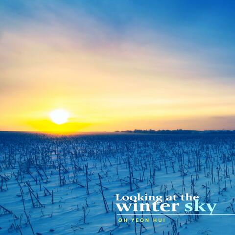 Looking At The Winter Sky