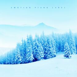 A Bear With A Hibernation