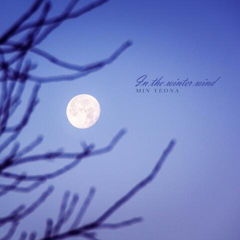 In The Winter Wind