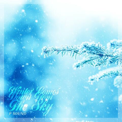 Winter Comes Down From The Sky