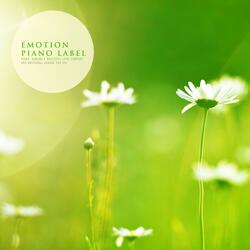 An Unchanging Promise