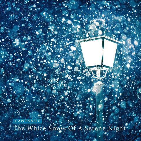 The White Snow Of A Serene Night
