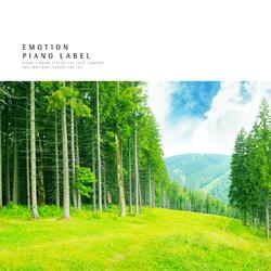 When Thought Flows Through Sound