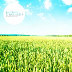 A Letter Of Love You Gave