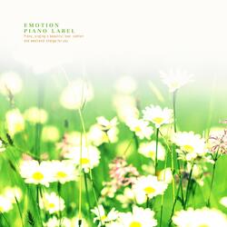 Holding A Chrysanthemum