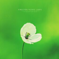 Coffee Cup With Love