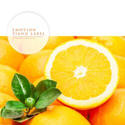 Like The Spring Of That Day