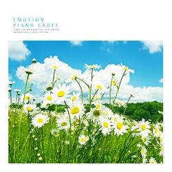 The bright night sky