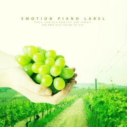 The story of young flowers