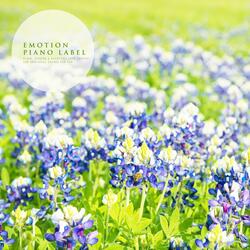 Be Covered In Spring