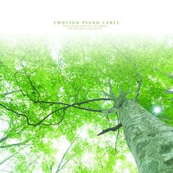 Share a beautiful night