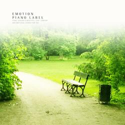 This night full of stars