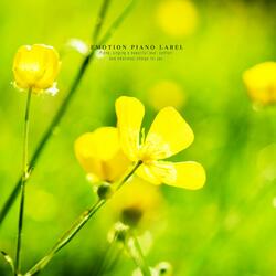 Looking For My Own Dream