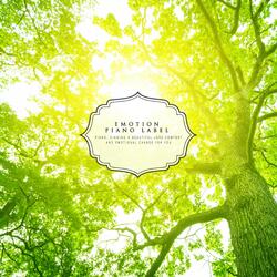 Clouds In The Clouds