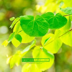 Time to move toward happiness