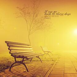 Could I Meet You Again