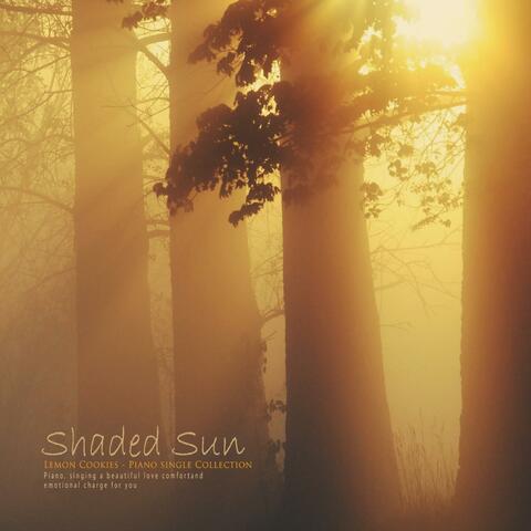 A shady sun