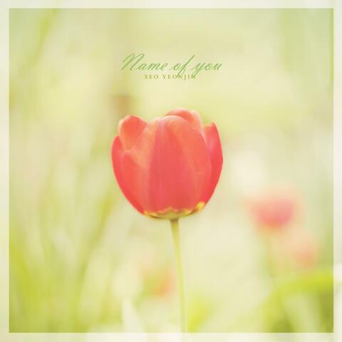 Name Of You