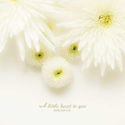 A Little Heart To You