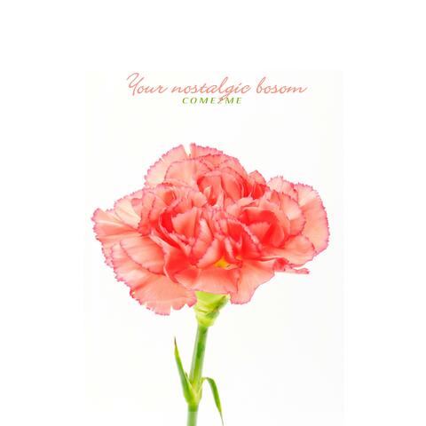 Your Nostalgic Bosom