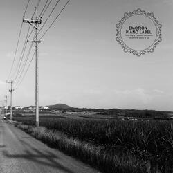 Your shadow in my mind