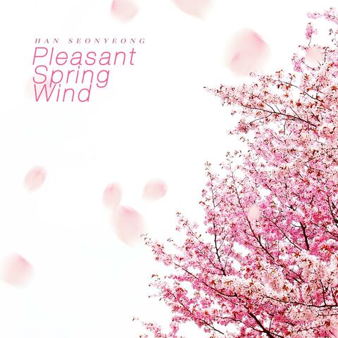 Pleasant Spring Wind
