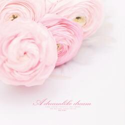 A dreamlike dream
