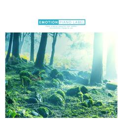 Morning sunshine after spraying