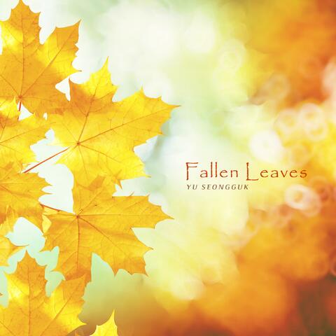 Fallen Leaves