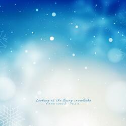 Looking at the flying snowflake