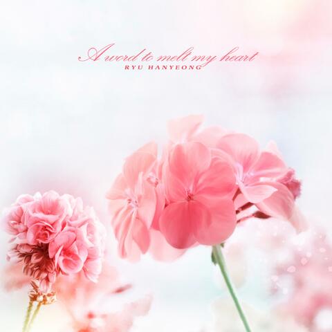 A Word To Dissolve My Heart