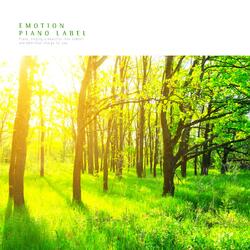 The Memory Of Spring Wind