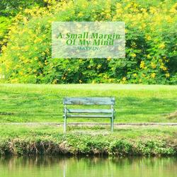 A Small Margin Of My Mind