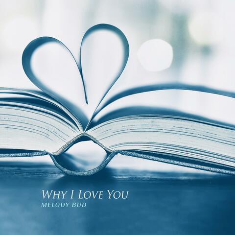 Why I Love You